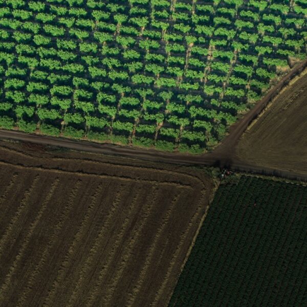 Лидар Zenmuse L1